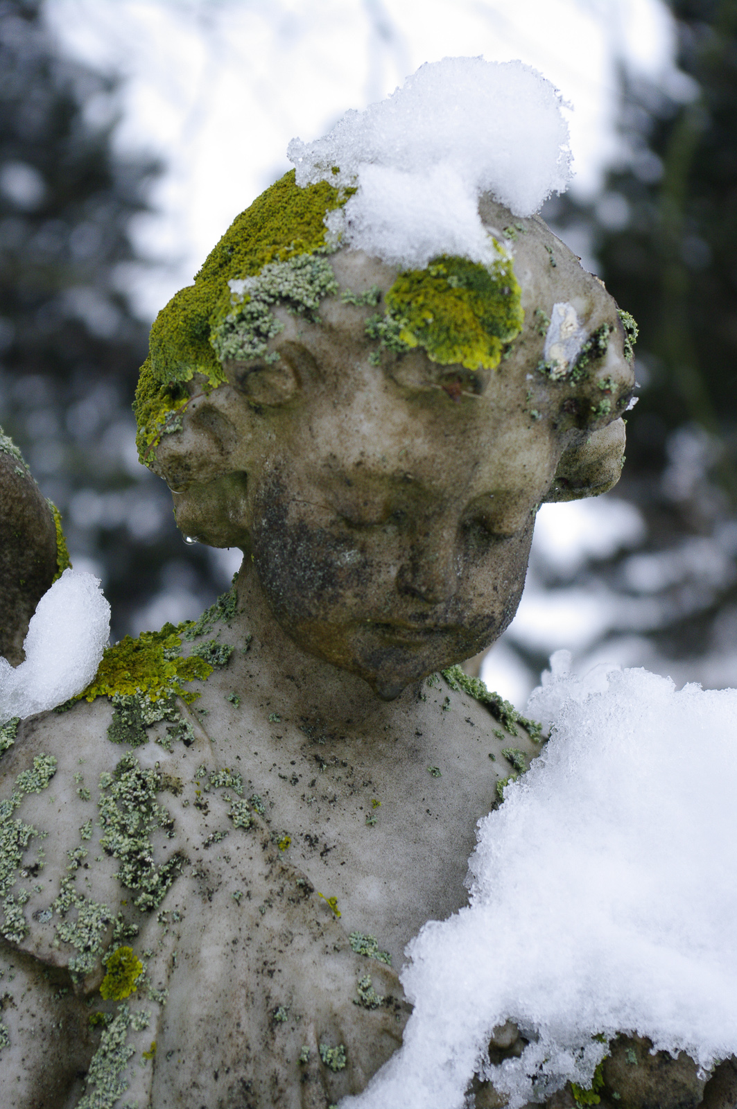 History Maulden Village