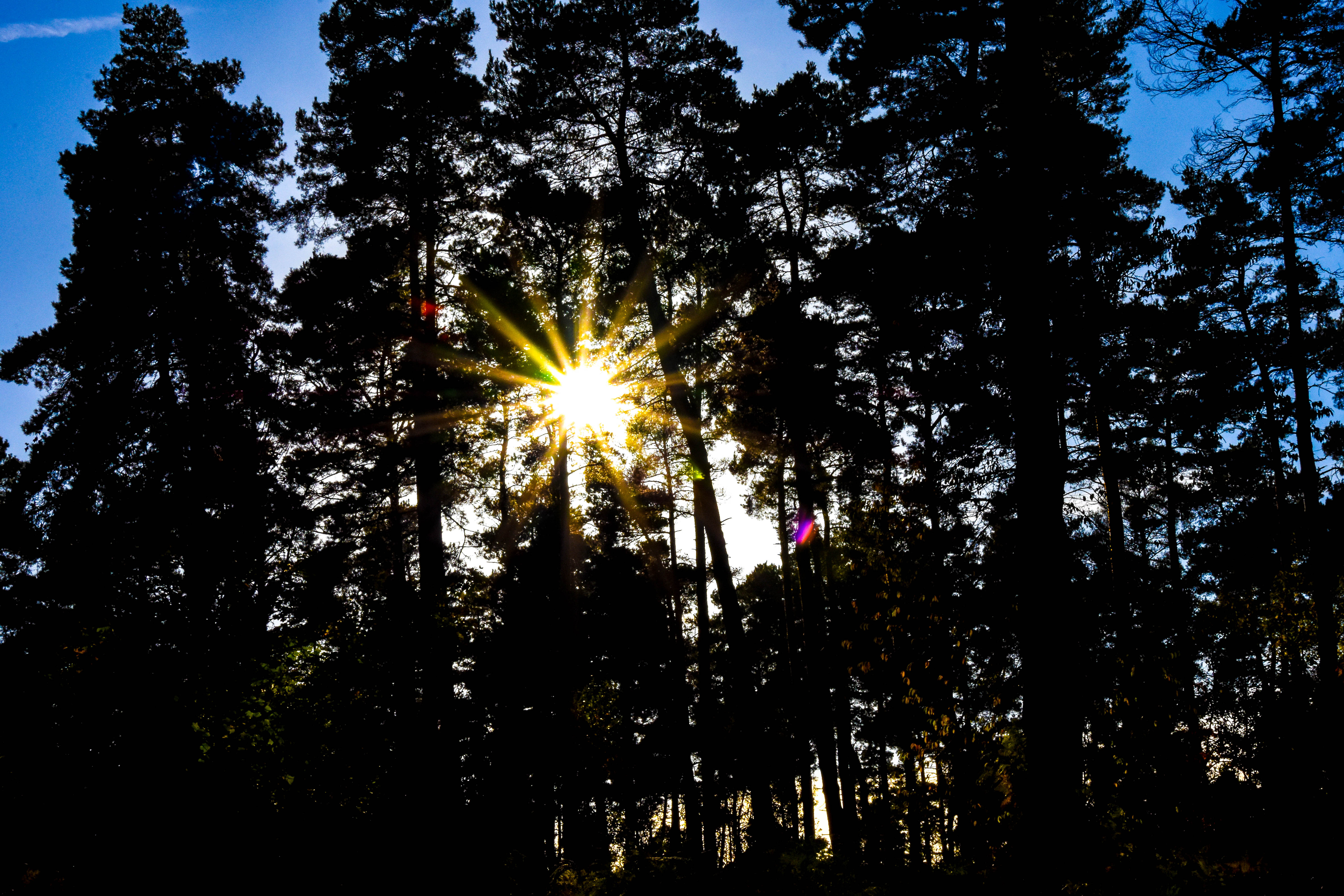 Maulden Autumn get outside and enjoy Maulden Village